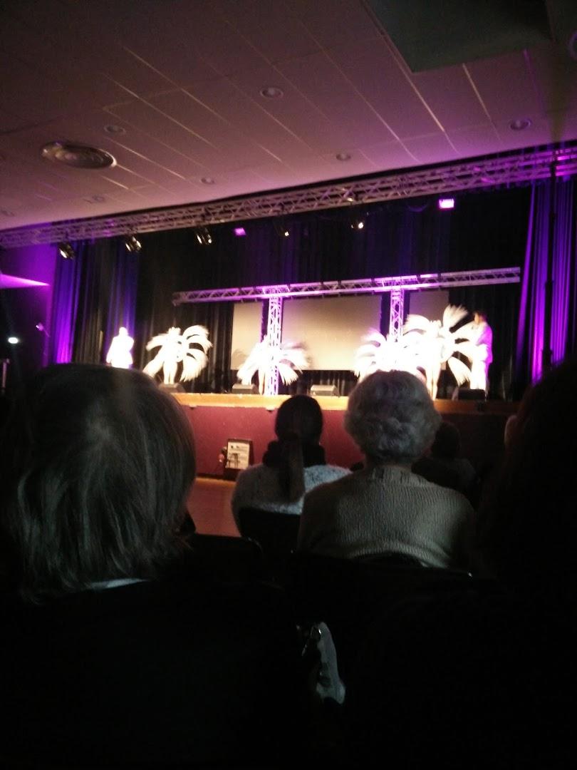 Salle des fetes La Grapperies - Photo 3